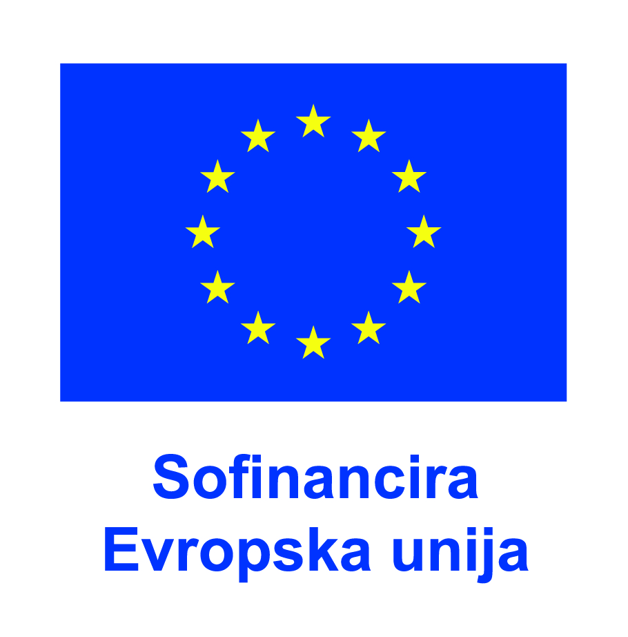 Emblem EU in napis "Sofinancira Evropska unija" v vertikalni postavitvi
