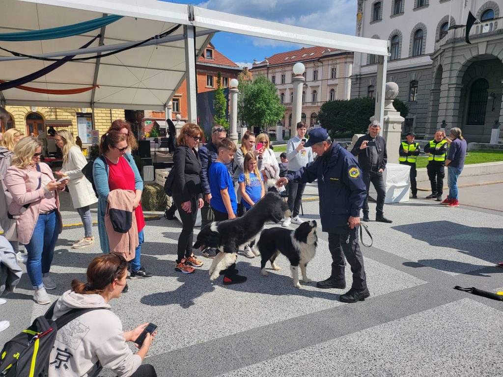 Policijska psa na dogodku ob Dnevu Evrope