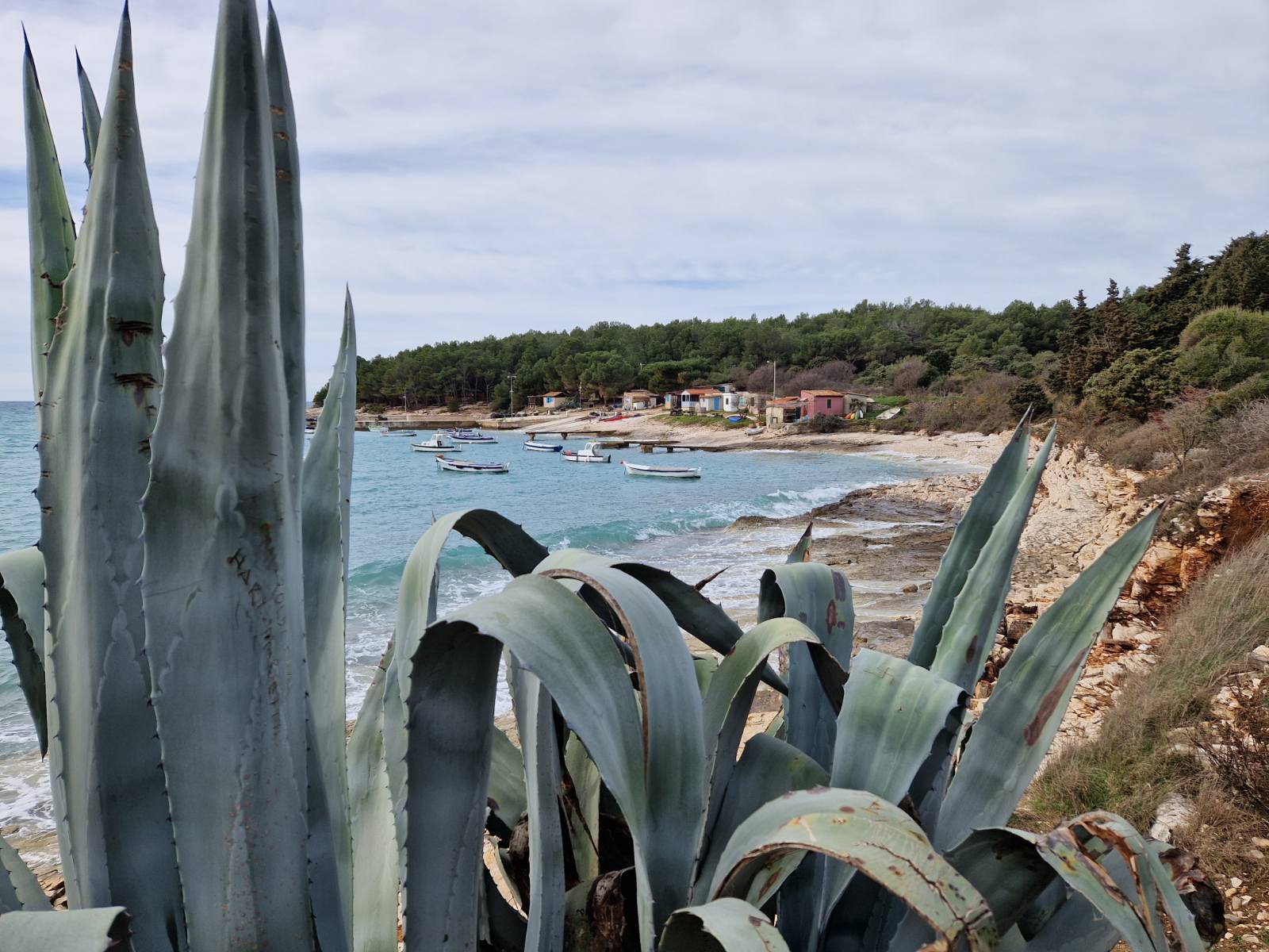 Fotografija morske obale