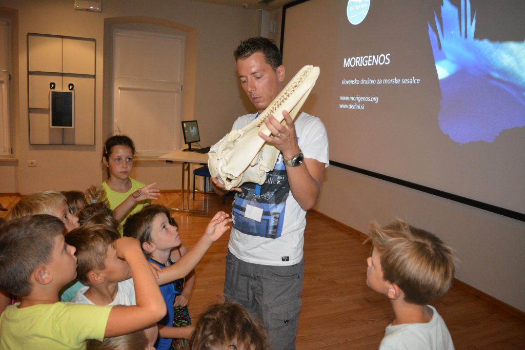 Član društva Morigenos razkazuje lobanjo delfina