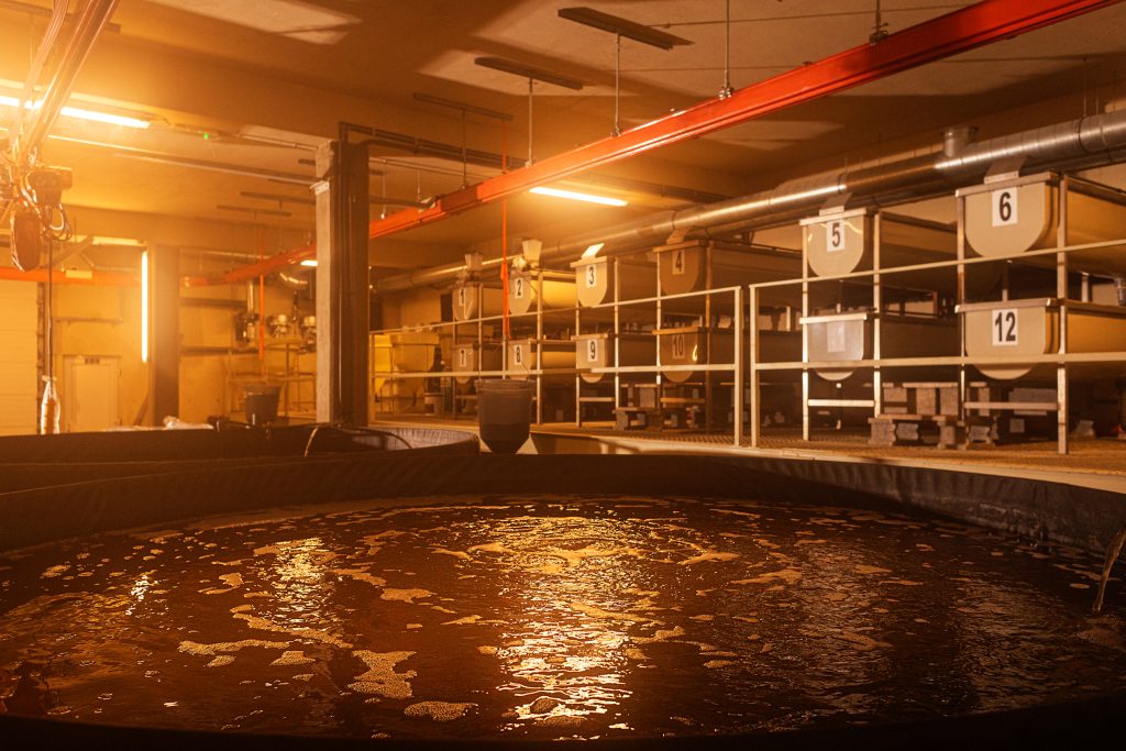 Bazen z vodo za vzrejo rib