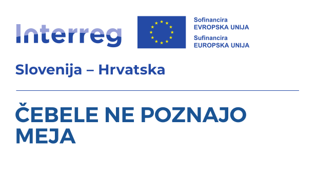 Čebele ne poznajo meja