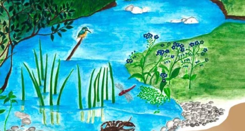 Animirana fotografija mokrišča